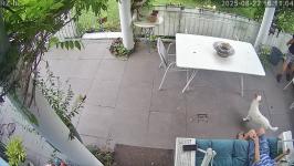 Thumbnail von A25082216110311.jpg