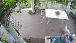 Thumbnail von A25082216110512.jpg