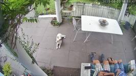 Thumbnail von A25082216114712.jpg