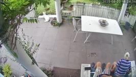 Thumbnail von A25082216243510.jpg