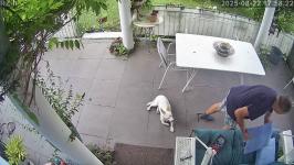 Thumbnail von A25082217582210.jpg