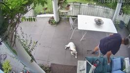 Thumbnail von A25082217582311.jpg