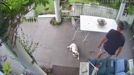 Thumbnail von A25082217582512.jpg
