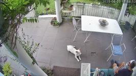 Thumbnail von A25082217585210.jpg
