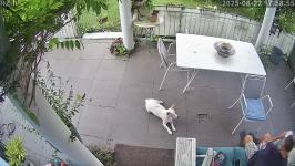 Thumbnail von A25082217585412.jpg