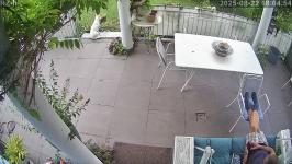 Thumbnail von A25082218045410.jpg