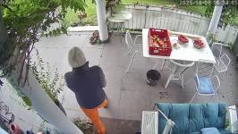 Thumbnail von A25100616344410.jpg