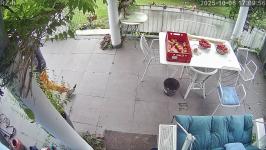 Thumbnail von A25100617095612.jpg