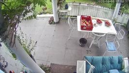 Thumbnail von A25100617103712.jpg