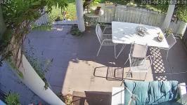 Thumbnail von P25082210342710.jpg