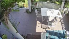 Thumbnail von P25082211342810.jpg