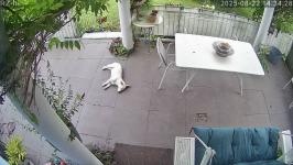 Thumbnail von P25082214342810.jpg