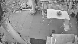 Thumbnail von P25082220342710.jpg