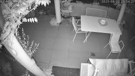 Thumbnail von P25082223342810.jpg