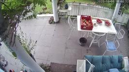 Thumbnail von P25100618463210.jpg