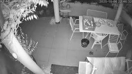Thumbnail von P25100622463210.jpg