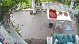 Thumbnail von P25100707463110.jpg