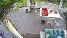 Thumbnail von P25100708463110.jpg