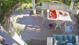 Thumbnail von P25100709463010.jpg