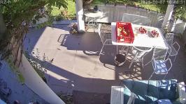 Thumbnail von P25100710463110.jpg