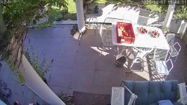 Thumbnail von P25100711463010.jpg