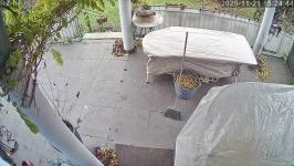 Thumbnail von P25112115244410.jpg