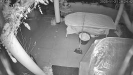 Thumbnail von P25112120244210.jpg