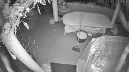 Thumbnail von P25112121244210.jpg